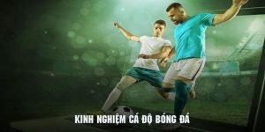 Kinh Nghiệm Cá Độ Bóng Đá - Bí Kíp Từ Chuyên Gia Tại QQ88 4 kinh nghiệm cá độ bóng đá qq88